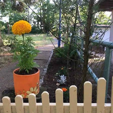 Domki Letniskowe Gardna Casa vacanze *